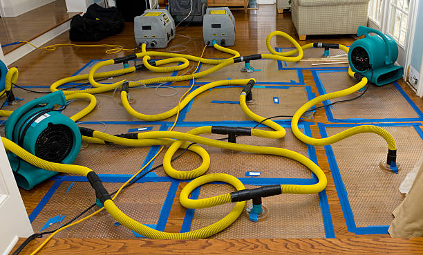 Professional Water Damage Repair technician working in Tahoe City, CA